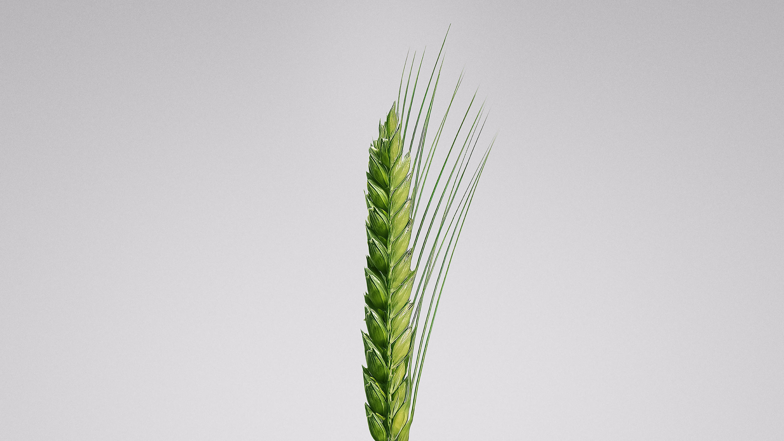 Bayer Crop Science