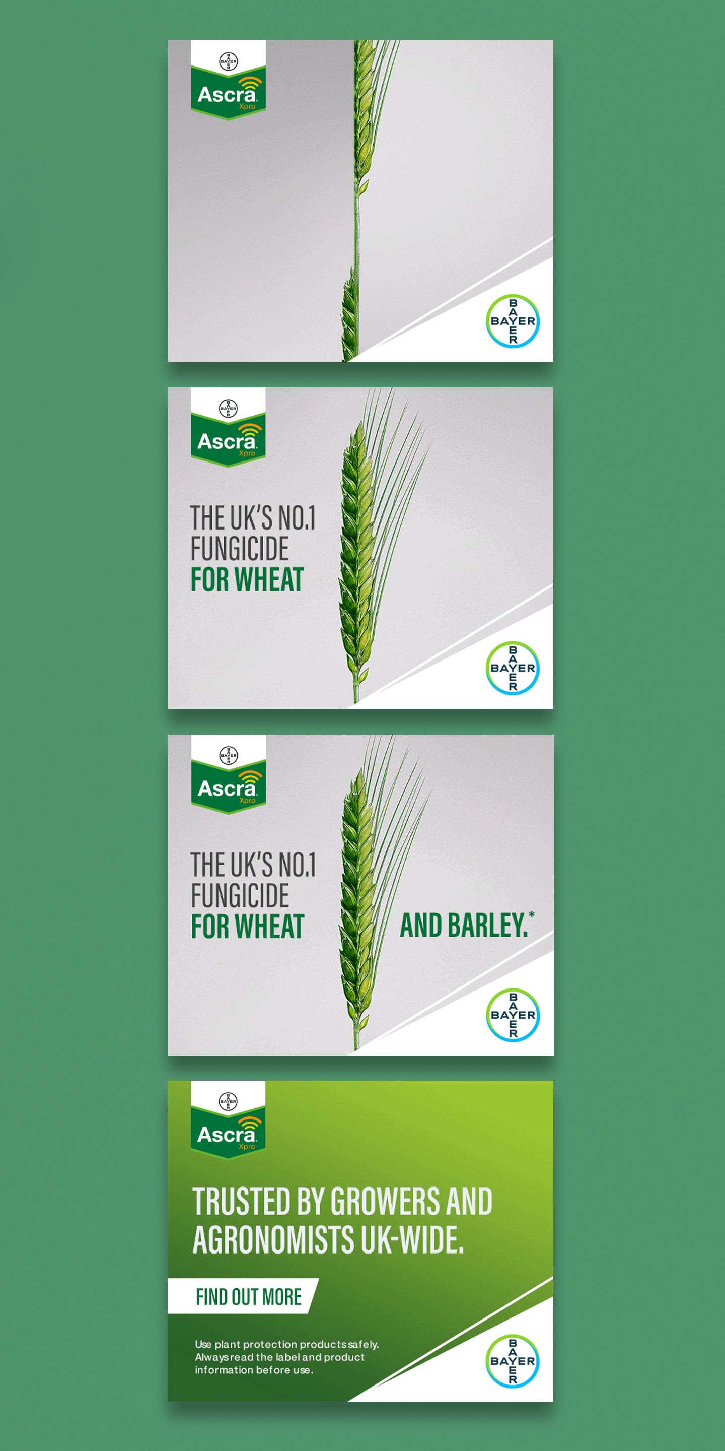 Bayer Crop Science