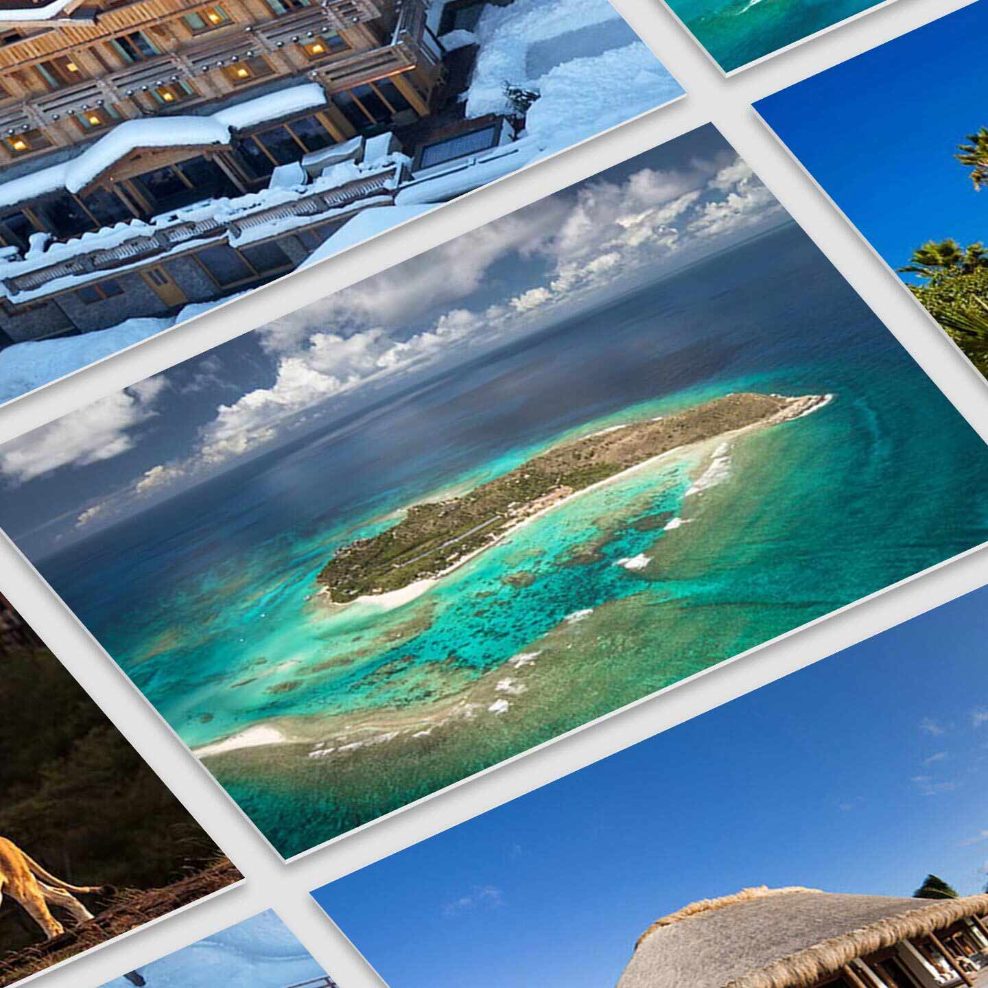 Virgin Limited Edition